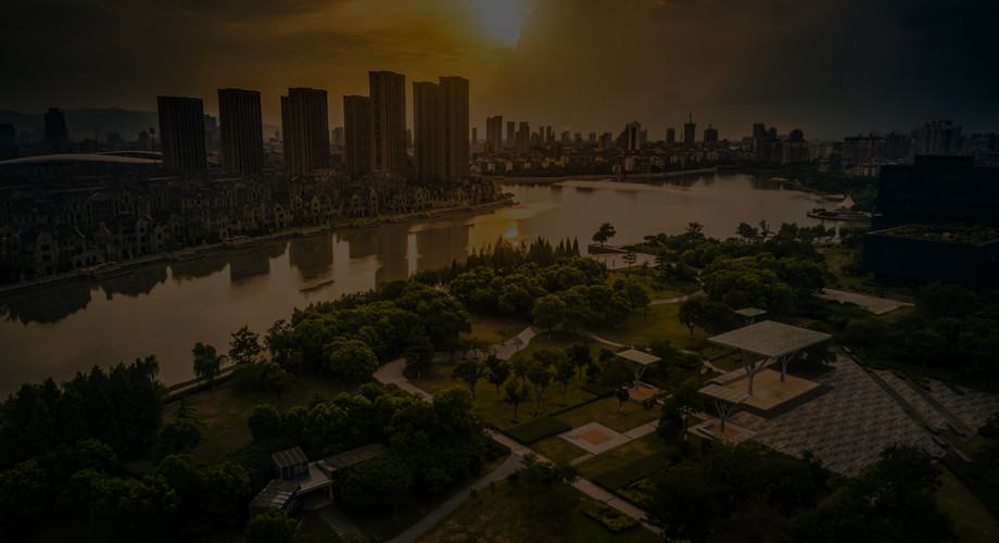 Cultural Diplomacy &amp; Government Partnerships